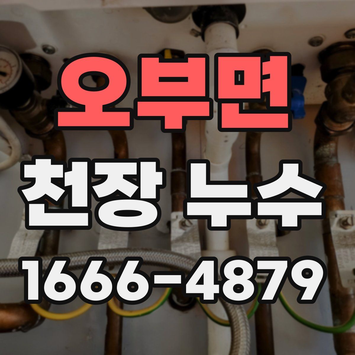 오부면 천장 누수
