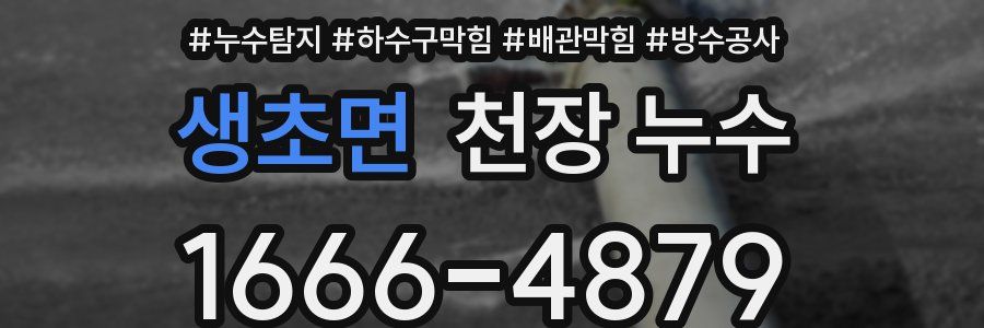 생초면 천장 누수