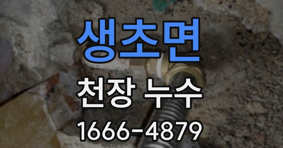 생초면 천장 누수