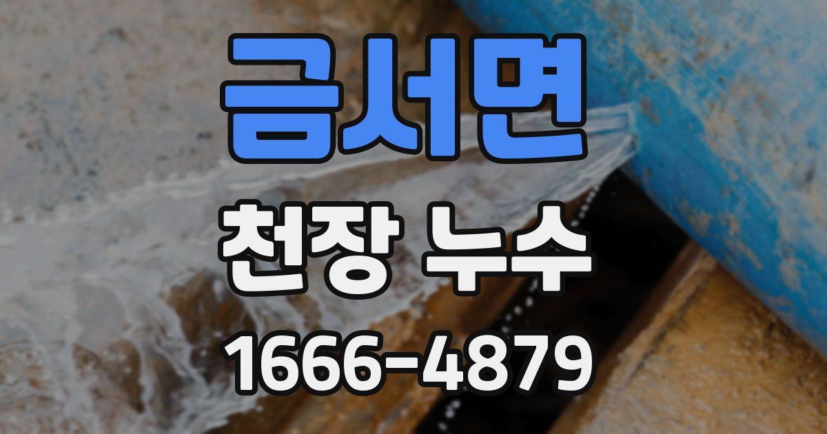 금서면 천장 누수