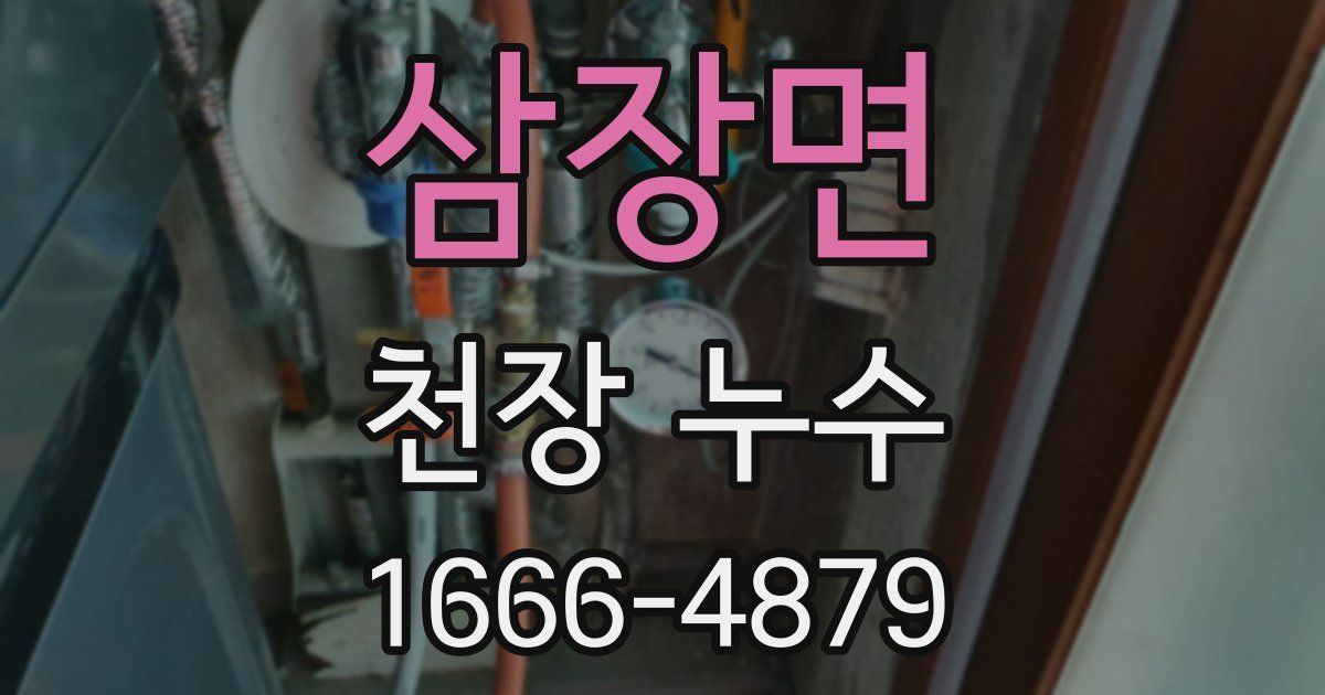 삼장면 천장 누수