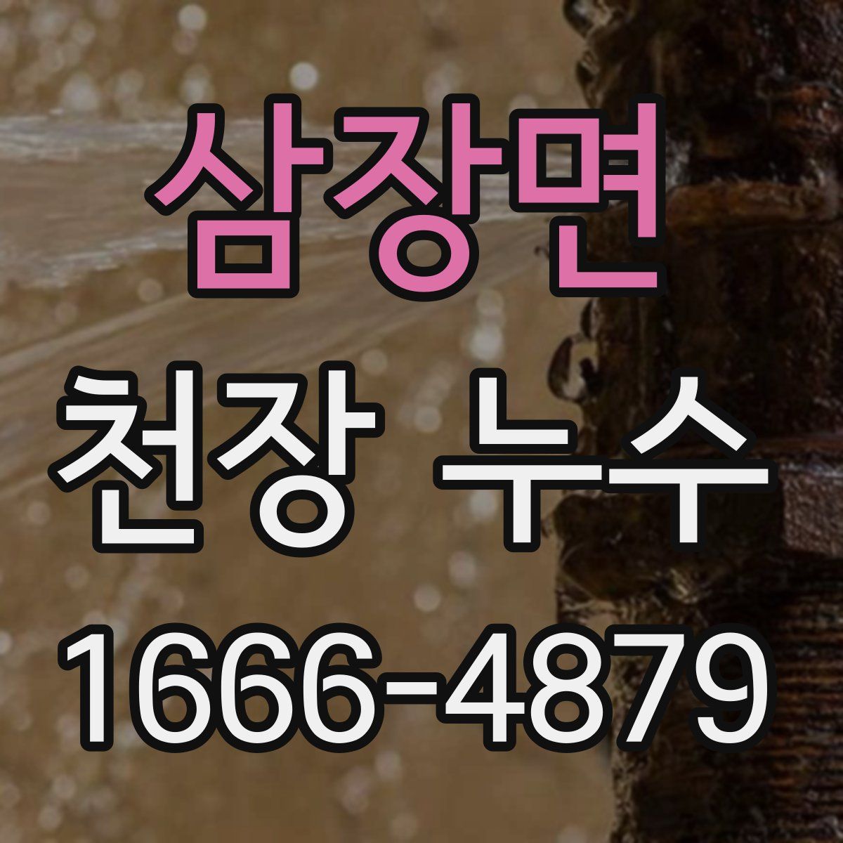 삼장면 천장 누수