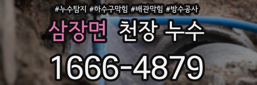삼장면 천장 누수