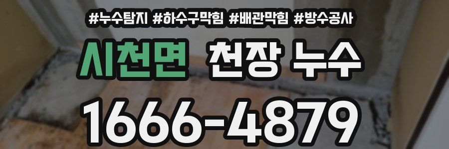 시천면 천장 누수