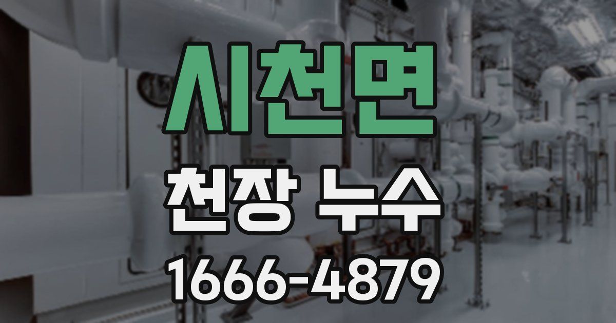 시천면 천장 누수