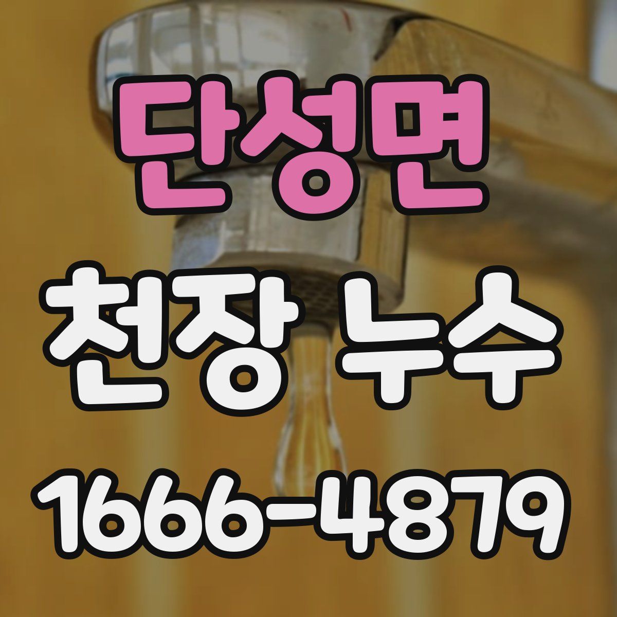 단성면 천장 누수