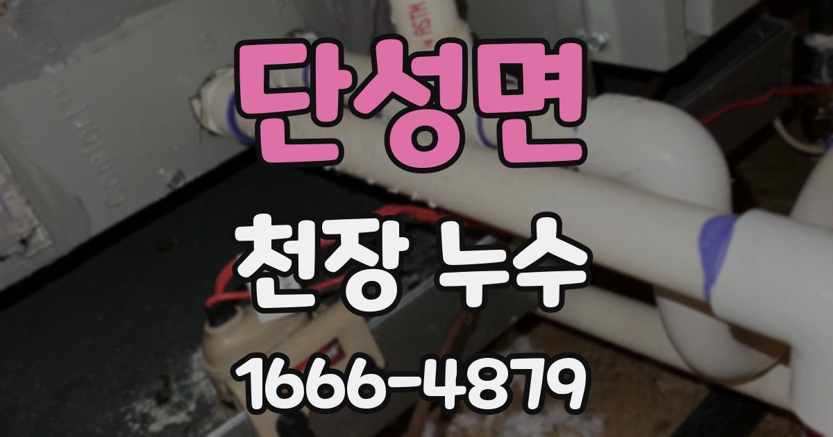 단성면 천장 누수