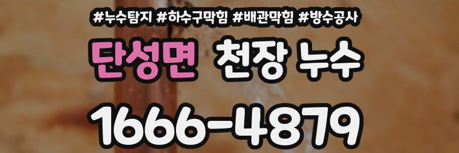 단성면 천장 누수