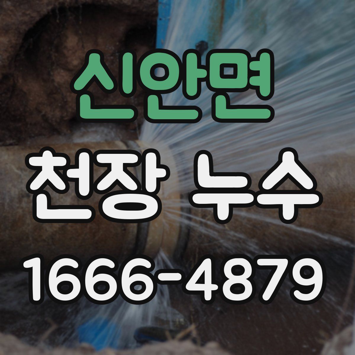 신안면 천장 누수