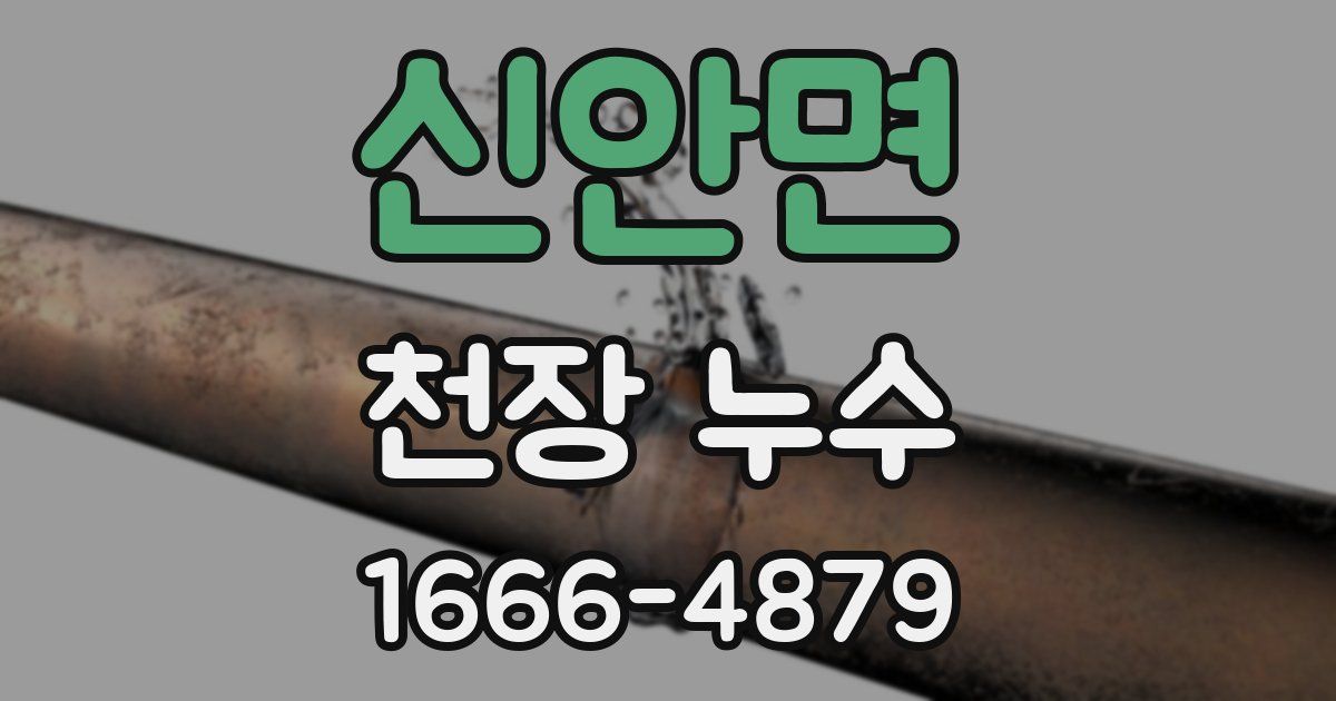 신안면 천장 누수