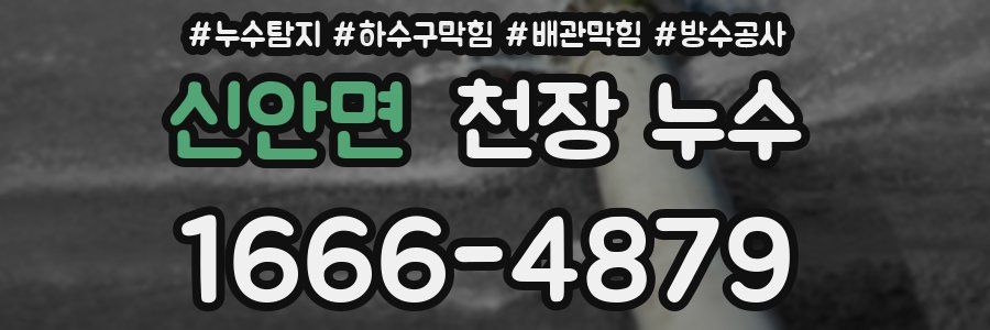 신안면 천장 누수