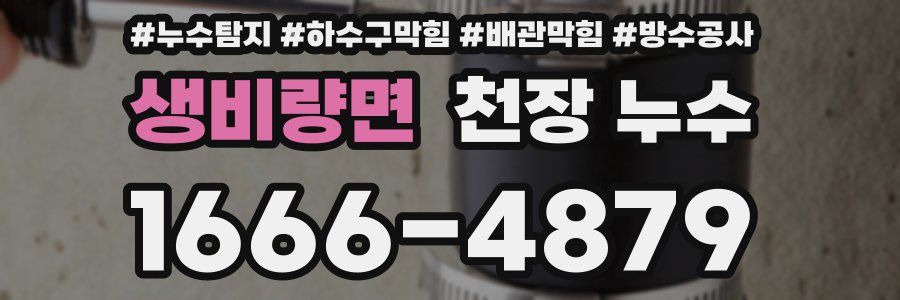 생비량면 천장 누수