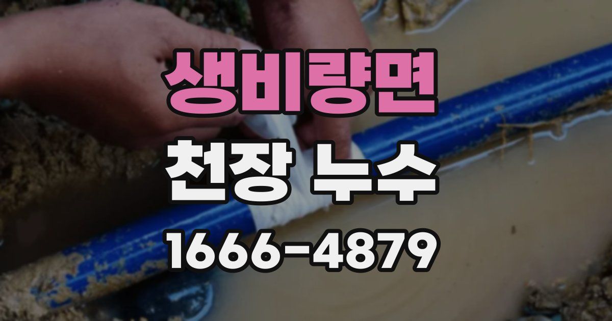 생비량면 천장 누수