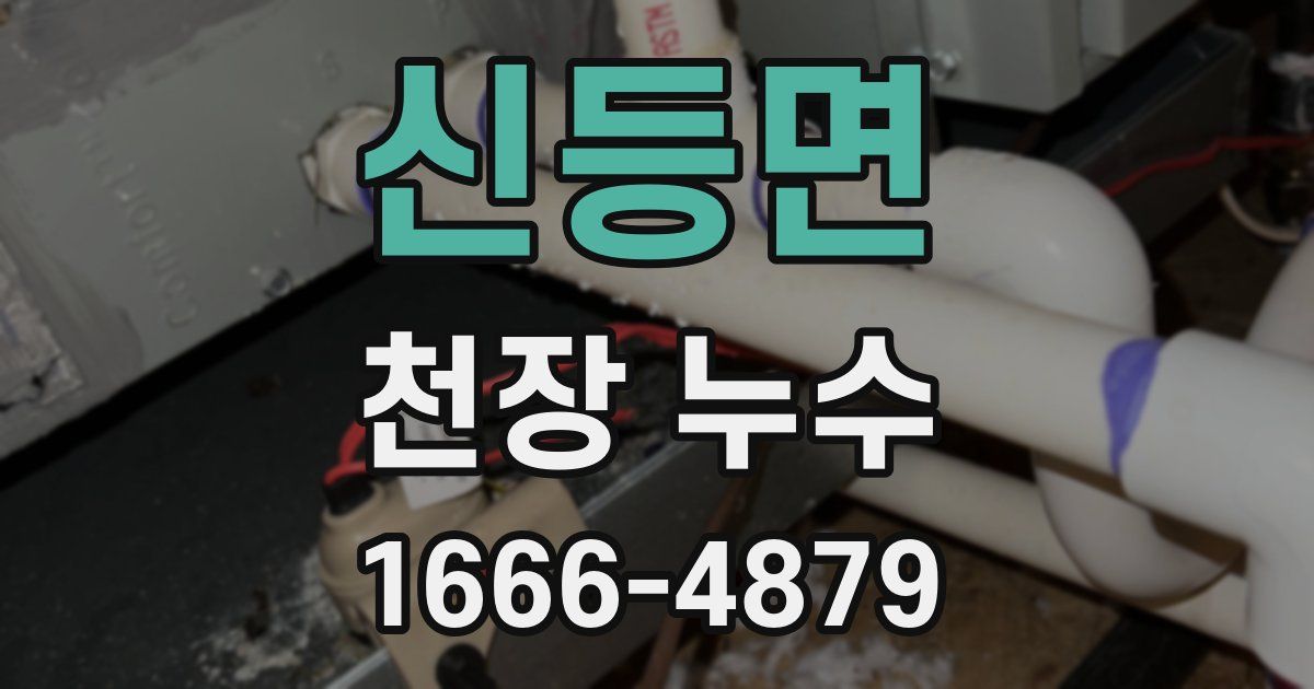 신등면 천장 누수
