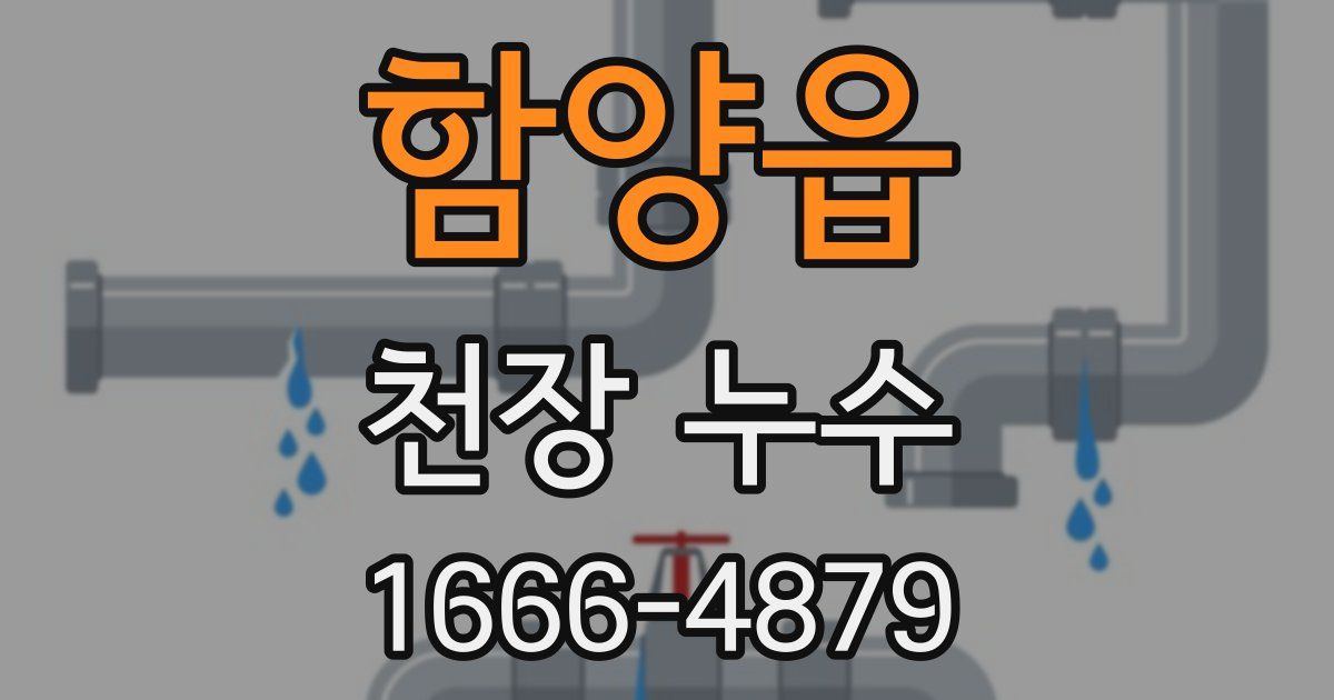 함양읍 천장 누수