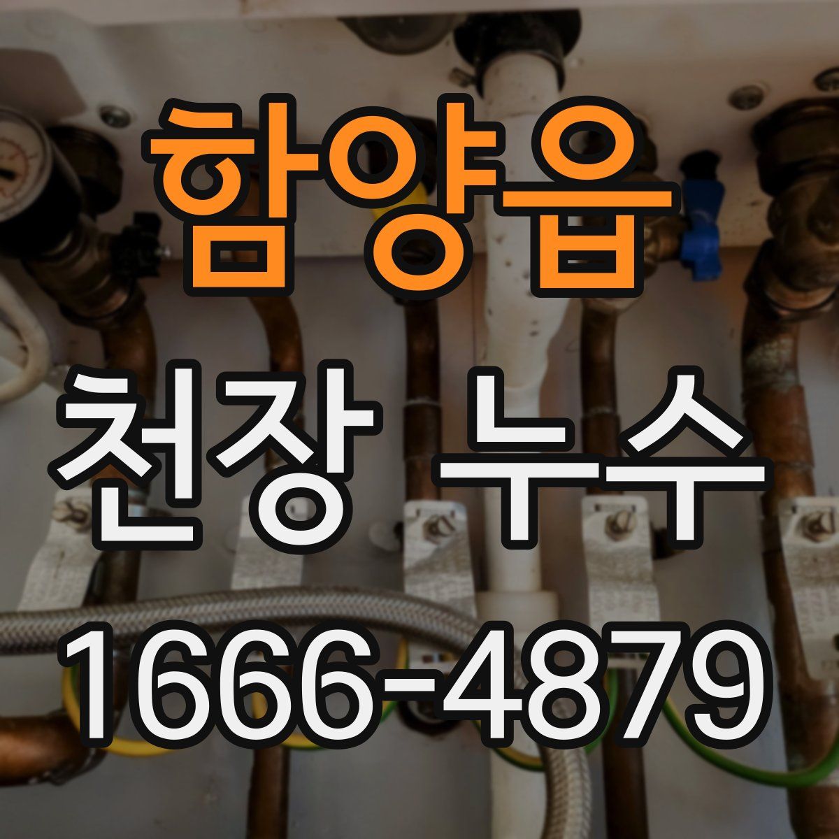 함양읍 천장 누수