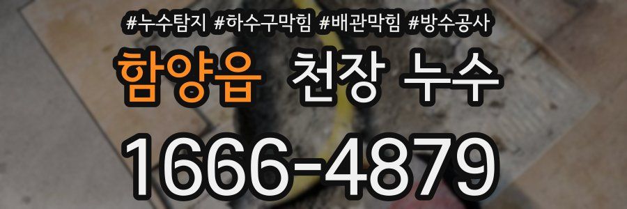 함양읍 천장 누수
