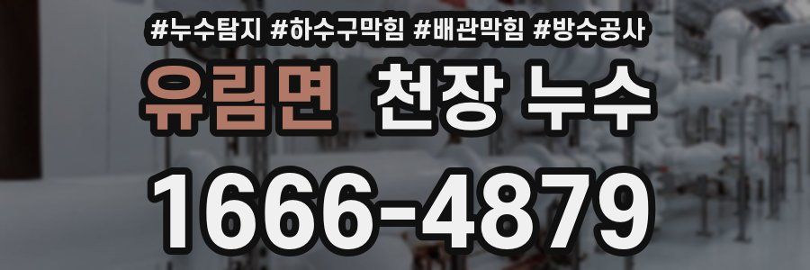 유림면 천장 누수