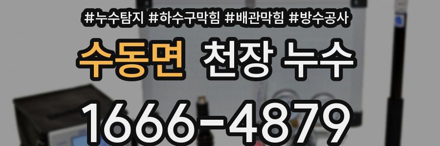 수동면 천장 누수