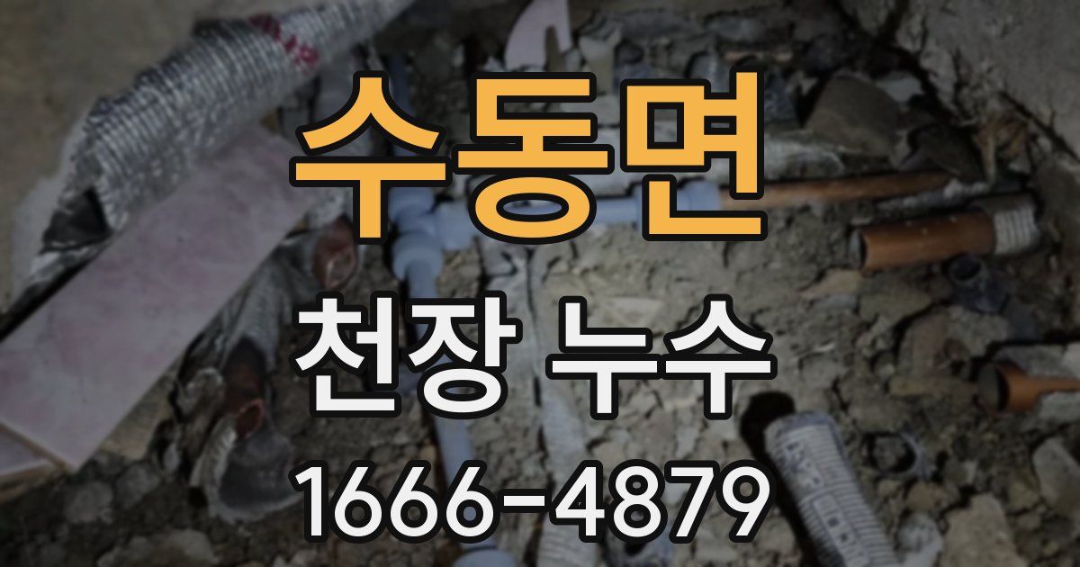 수동면 천장 누수