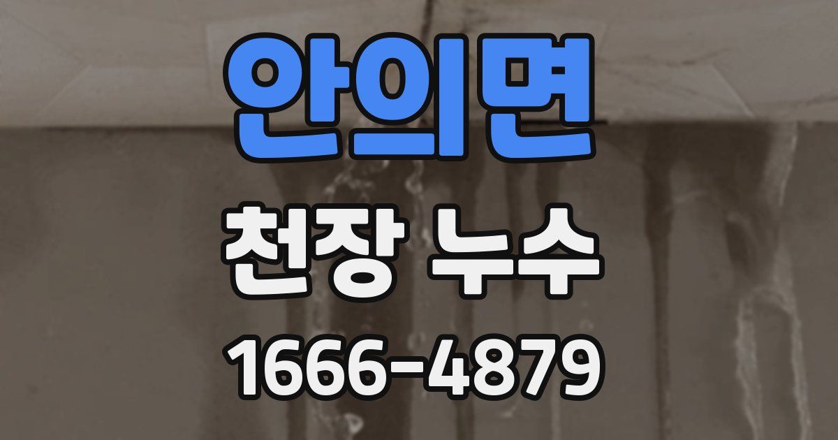 안의면 천장 누수