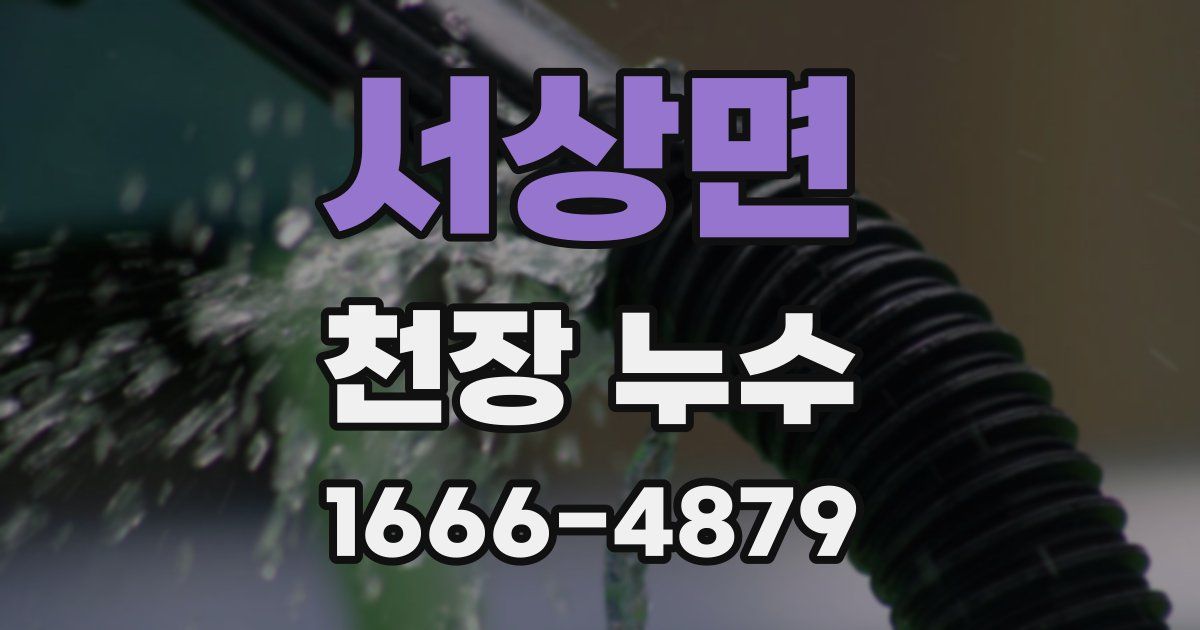 서상면 천장 누수
