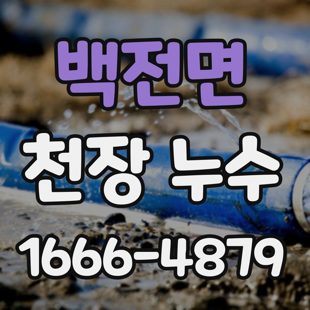 백전면 천장 누수