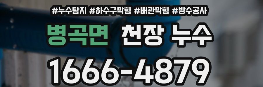 병곡면 천장 누수