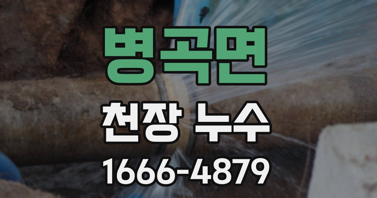 병곡면 천장 누수