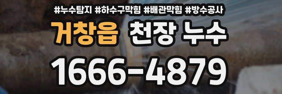 거창읍 천장 누수