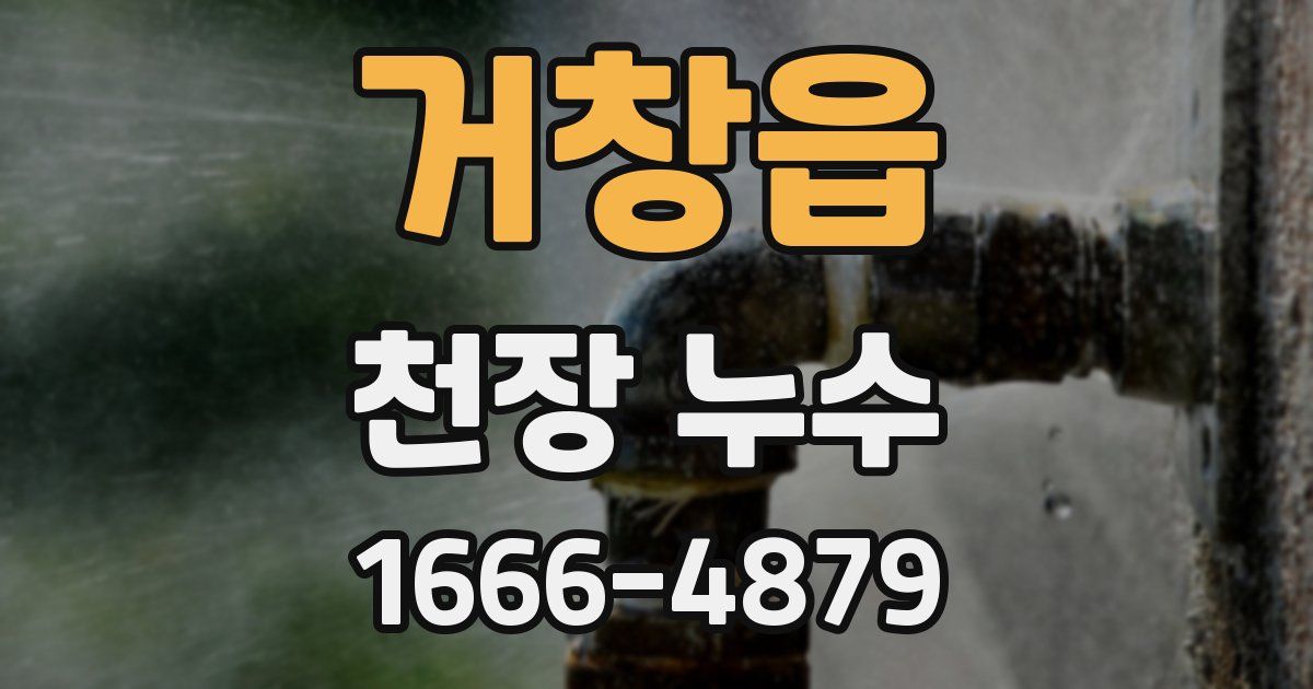 거창읍 천장 누수