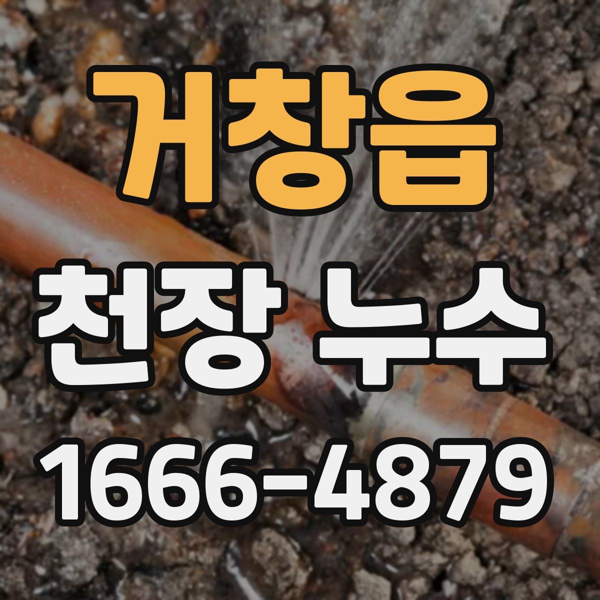 거창읍 천장 누수
