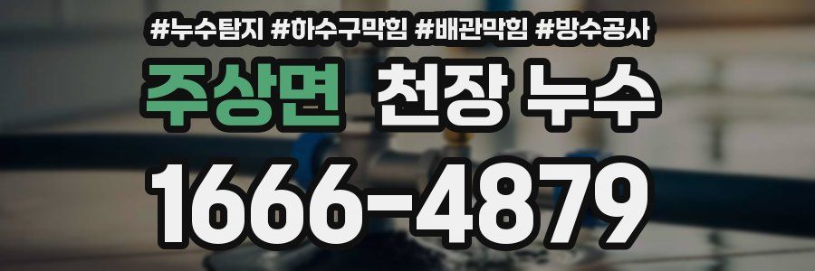 주상면 천장 누수