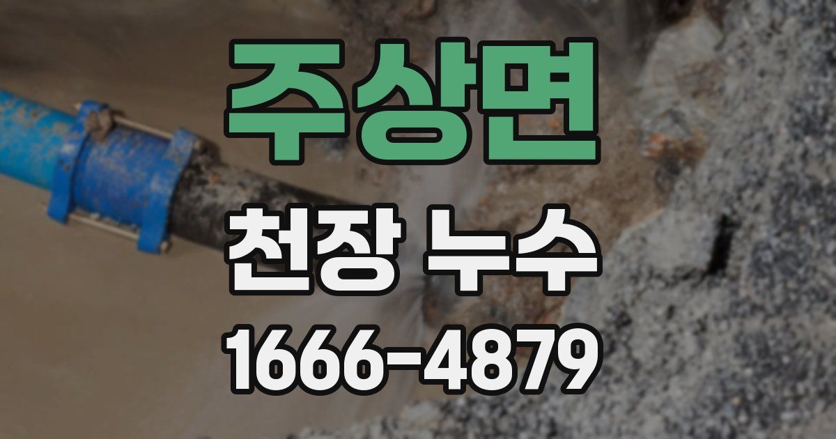 주상면 천장 누수