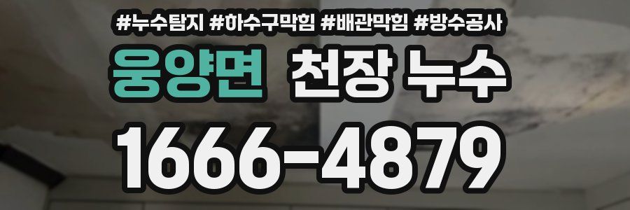 웅양면 천장 누수