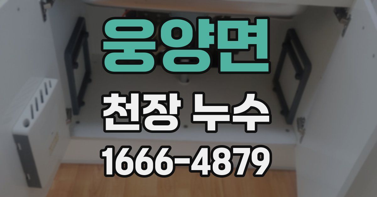 웅양면 천장 누수