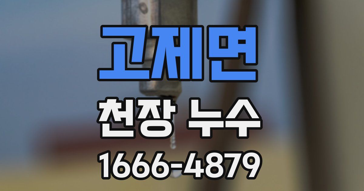 고제면 천장 누수