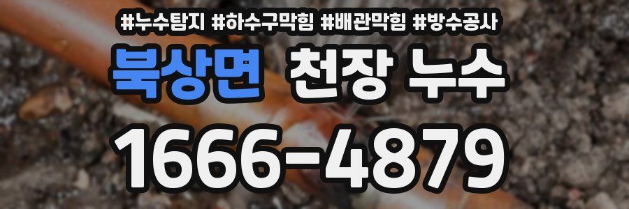 북상면 천장 누수