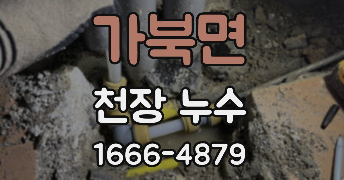 가북면 천장 누수
