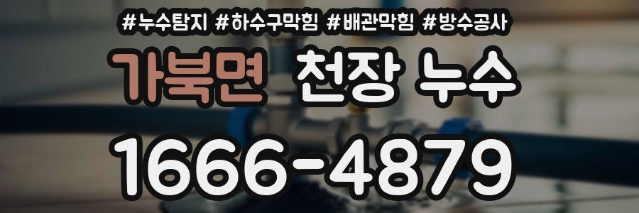 가북면 천장 누수