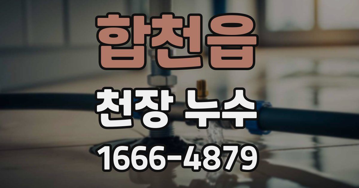 합천읍 천장 누수