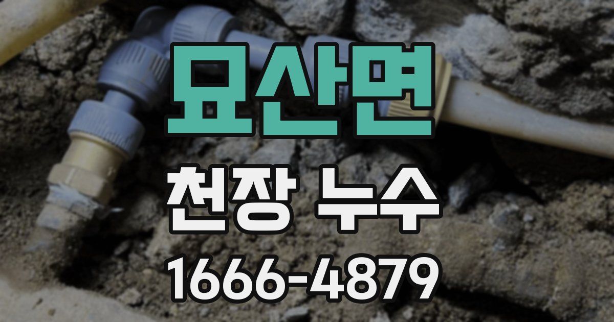 묘산면 천장 누수