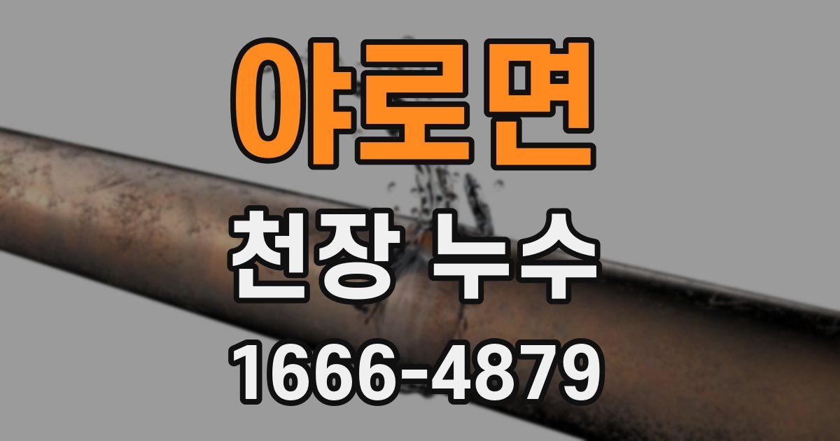 야로면 천장 누수