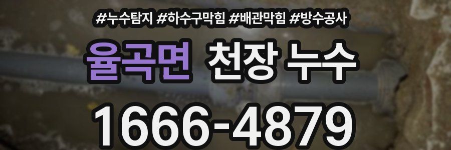 율곡면 천장 누수