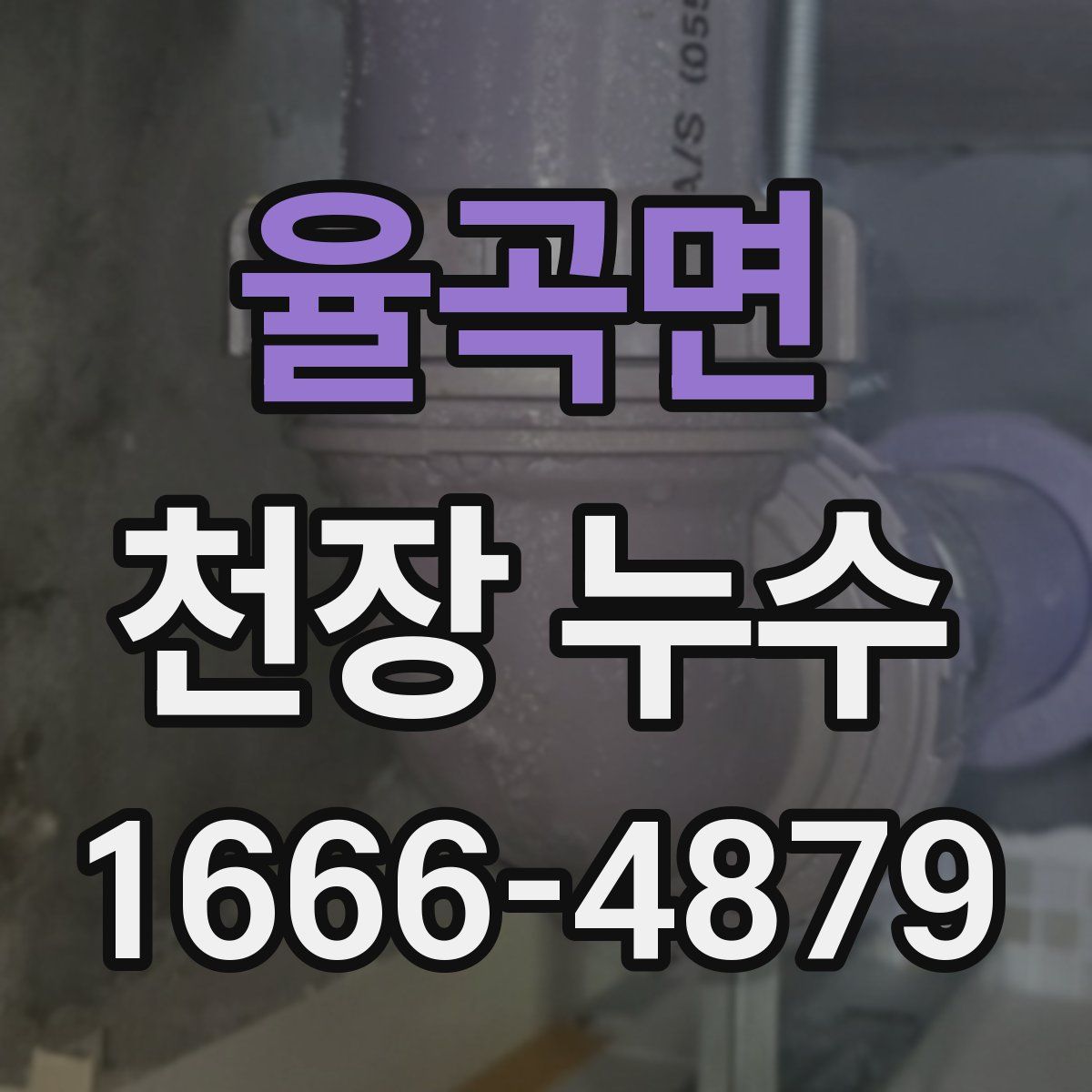 율곡면 천장 누수