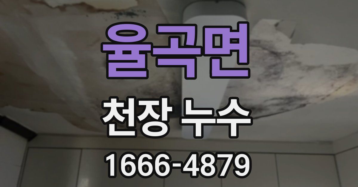 율곡면 천장 누수
