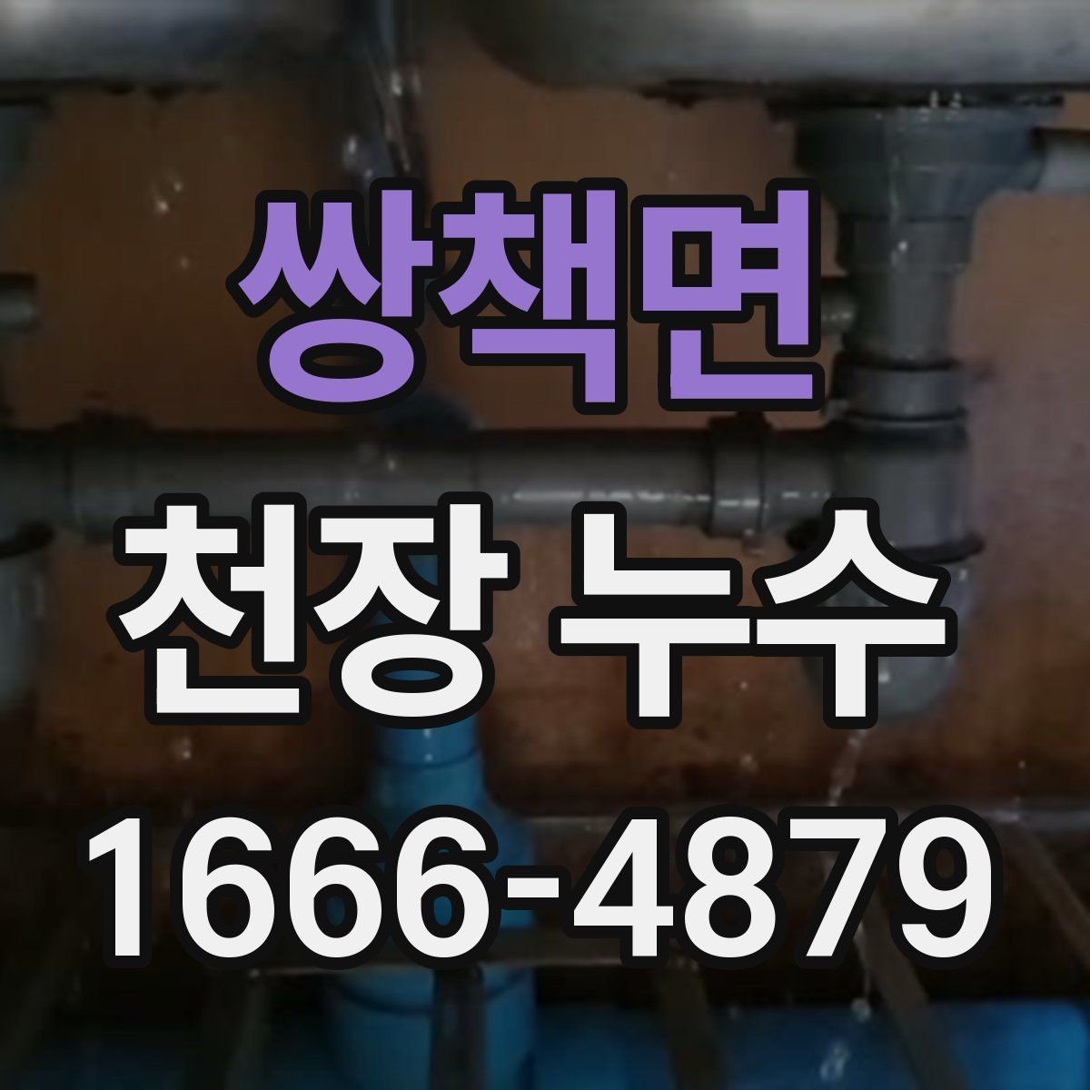쌍책면 천장 누수