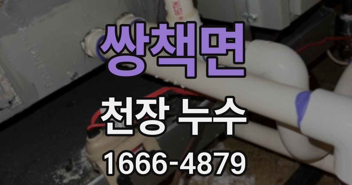 쌍책면 천장 누수
