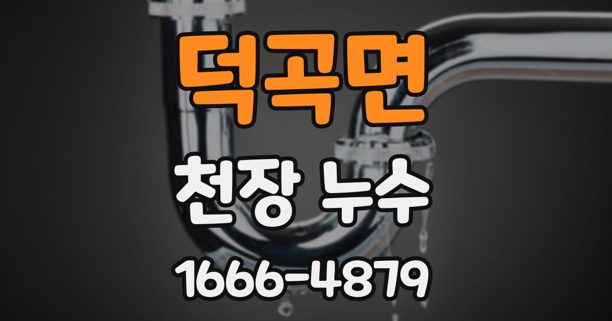 덕곡면 천장 누수