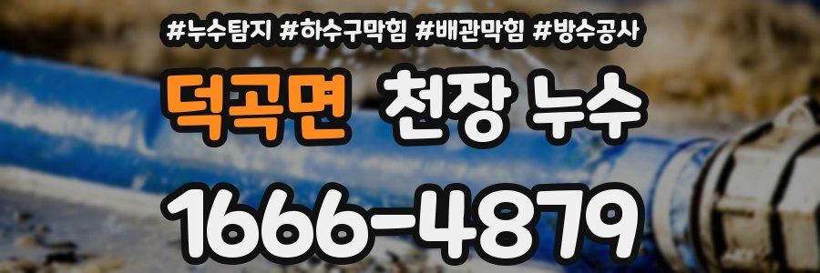 덕곡면 천장 누수